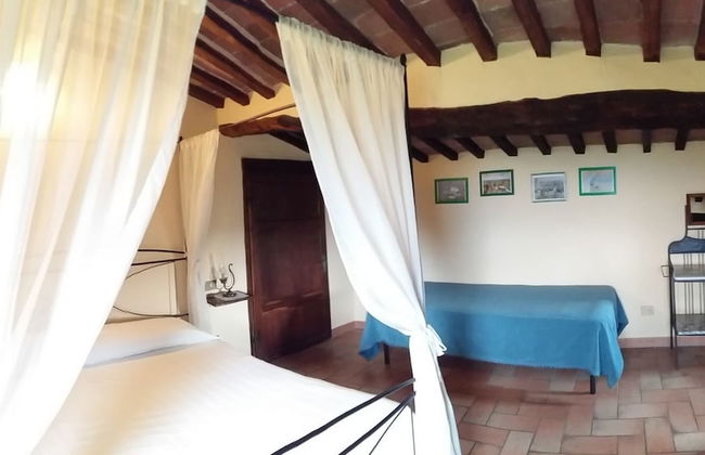 Agriturismo Colli di Travale - Foto 10