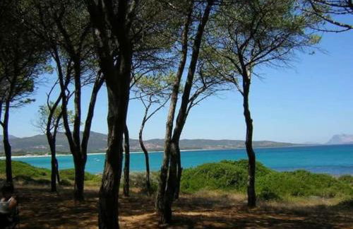 VILLA A 200 METRI DALLA SPIAGGIA - Foto 60