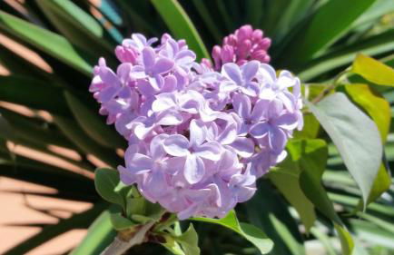 Appartamento Tramontana - Foto 39