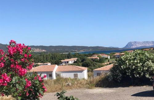 Frank's Home - Foto 2