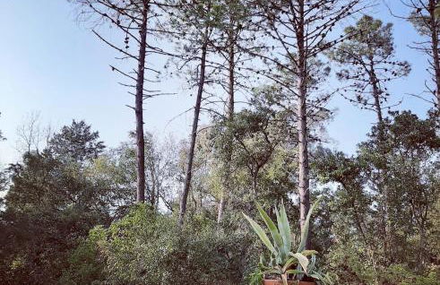 Au bonheur de provence - Foto 13