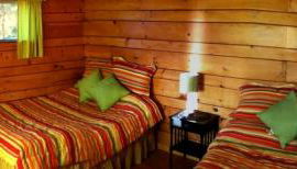 Charming Camping Cabin on the Shores of Great Sacandaga Lake in Northville, New York - Foto 4