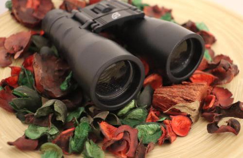 Baou House - Photo 22