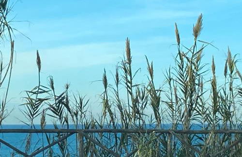 Anzio Interno 2 VistaMare - Photo 30