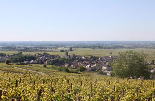 Ces Jours À Pommard - Foto 16