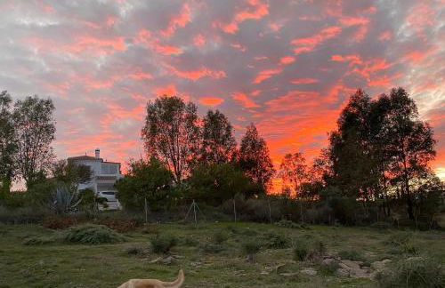 La Rústica en Viñuela, piscina privada - Foto 38