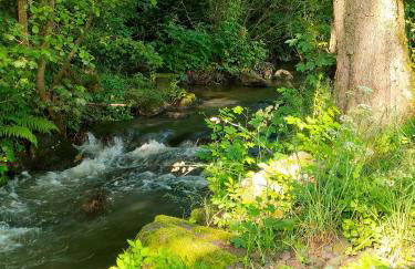 Wind in den Weiden, Übernachten am Bachlauf - Foto 16