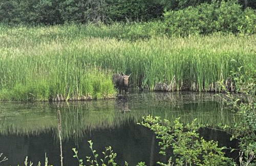 Private 2-Acre Retreat with MTN Views, Walk to River - Foto 27