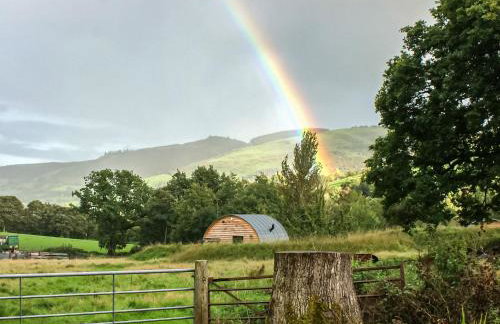 Barcud Coch - Uk44539 - Foto 31