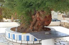 La Casa Azul - Blue House - Foto 14