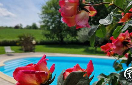 Gîte LE RUISSEAU DU BEJEAN - Foto 34