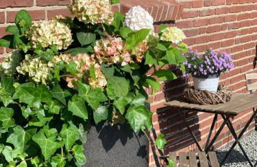 Appartements unter Reet - Foto 18