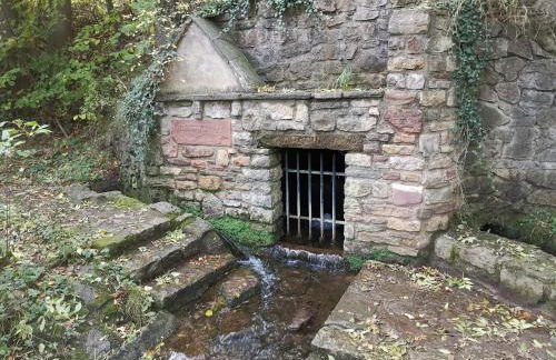 Eifelferienkurth - Photo 78