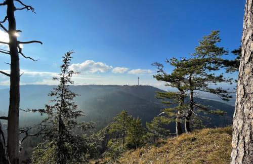 Ferienhaus Rosswangen - Foto 12