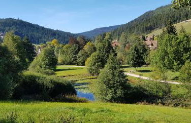 Ferienwohnung Tannenballett im Schwarzwald - Foto 44