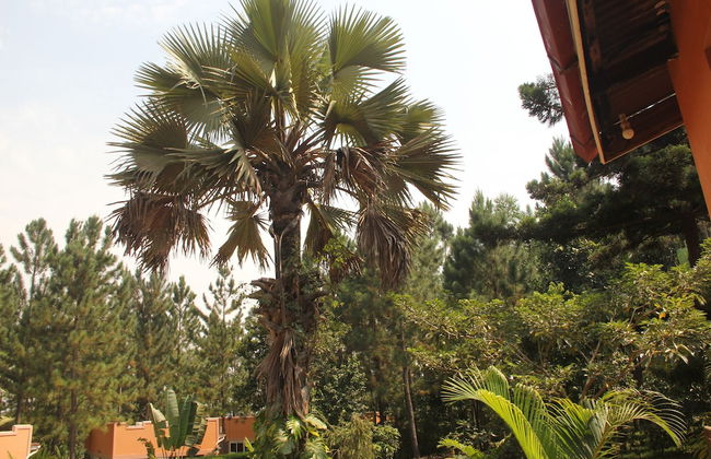 Saltek Forest cottages - Photo 21