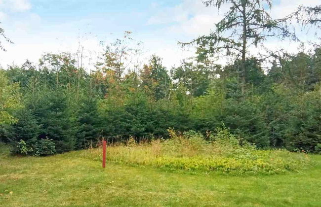 4 Person Holiday Home in Bording - Foto 26