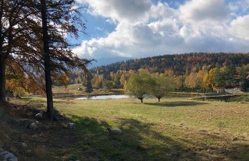 Grudza83 Bikepoint - Foto 17