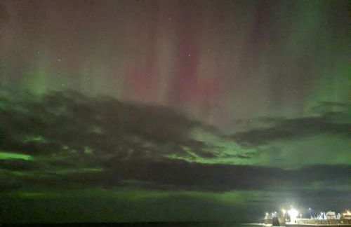 Braeview Studio - Foto 11