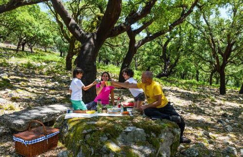 Vale do Ninho Nature Houses - Foto 40