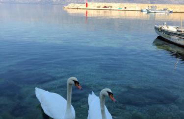 Miro Apartmani - Photo 49