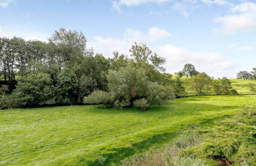 Mill Race at Broughton Sanctuary - Foto 4