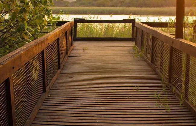 The Bridge Apartments - Foto 29