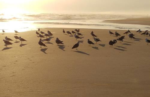 Casa Água & Sal - Foto 18