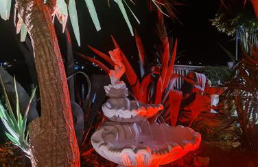 Apartments Ranko - Foto 9