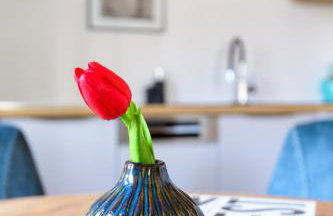 Apartments Kralj Ana - Foto 68