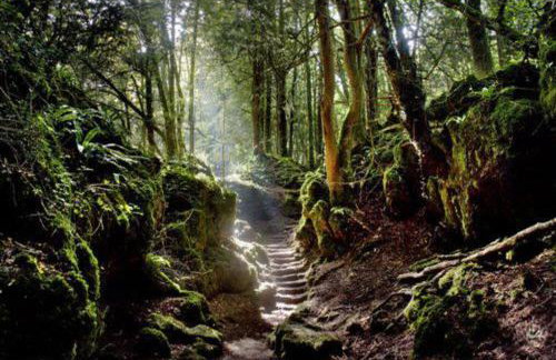 Magpie Cottage - Foto 23