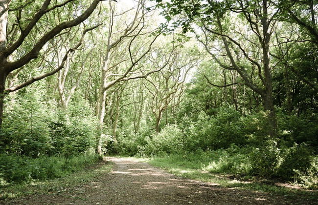 Oceanhouse Comfortable Holiday Residence - Foto 24