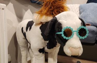 8 Berth Caravan at Blue Dolphin East coast - Foto 45