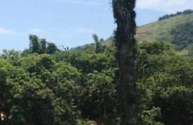 Apartamento Maranduba - Foto 55