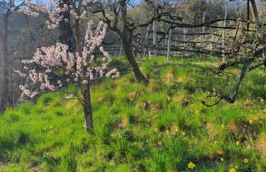 Marlingsuites - Foto 44