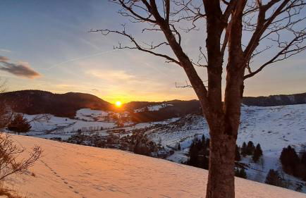 Daheim im Geissetal - Foto 9