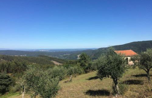 Casa dos Veados - Foto 1