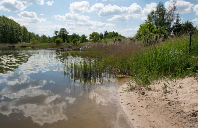 Dom niebieski - Foto 27