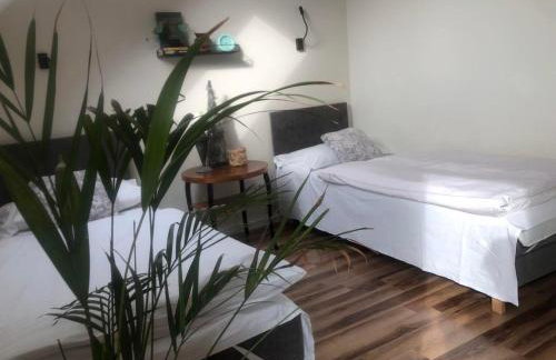 Malanówka II Radęcin - Foto 6