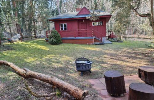 Boszkowski Azyl - Foto 8