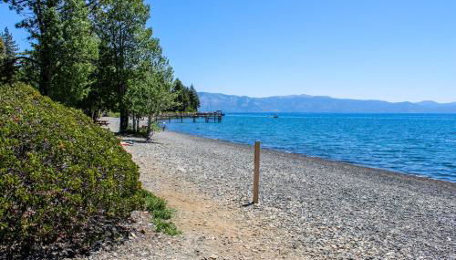 Tree-Lined Views #8 - Photo 2