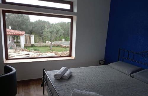 Tenuta L'uliveto - Foto 17