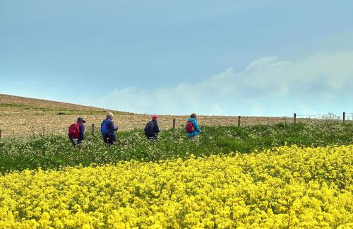 Sixpenny Cottage - Photo 16
