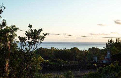 Casas do Amarelo - Photo 66