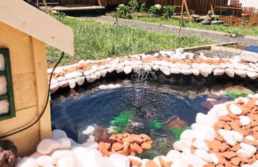 Alojamento Raminho dos Açores - Photo 31