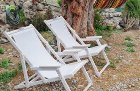 Little Blue - Photo 13