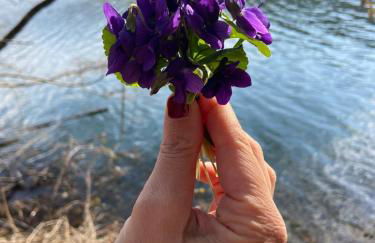 Casa Bosco - Photo 41