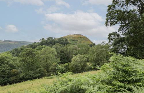 Tan Y Castell Shepherds Hut - Photo 16