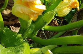 VILLA PALIOS STATHMOS - Foto 28