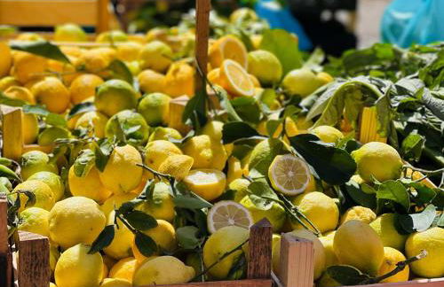 Casa Esmeralda - holiday apartment Costa Blanca - Photo 68